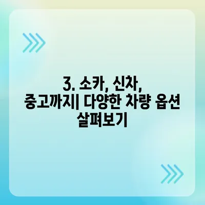 경기도 양주시 장흥면 렌트카 가격비교 | 리스 | 장기대여 | 1일비용 | 비용 | 소카 | 중고 | 신차 | 1박2일 2024후기