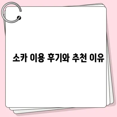 강원도 정선군 남면 렌트카 가격비교 | 리스 | 장기대여 | 1일비용 | 비용 | 소카 | 중고 | 신차 | 1박2일 2024후기