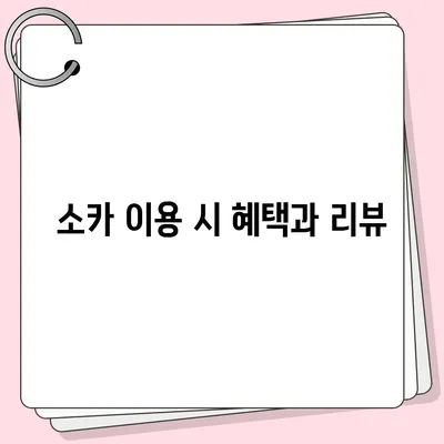 경상남도 함양군 서하면 렌트카 가격비교 | 리스 | 장기대여 | 1일비용 | 비용 | 소카 | 중고 | 신차 | 1박2일 2024후기