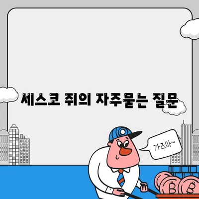 세스코 쥐