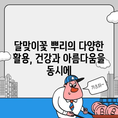 달맞이꽃 뿌리의 놀라운 효능| 건강, 미용, 그리고 더 많은 것들 | 달맞이꽃, 뿌리 효능, 건강, 미용, 효과