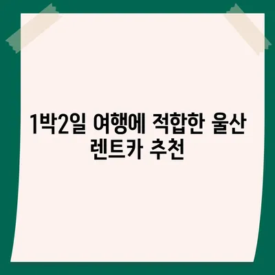 울산시 중구 우정동 렌트카 가격비교 | 리스 | 장기대여 | 1일비용 | 비용 | 소카 | 중고 | 신차 | 1박2일 2024후기