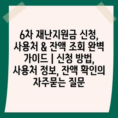 6차 재난지원금 신청, 사용처 & 잔액 조회 완벽 가이드 | 신청 방법, 사용처 정보, 잔액 확인