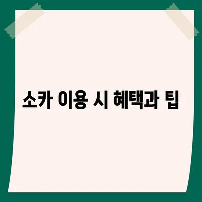 경상북도 청도군 운문면 렌트카 가격비교 | 리스 | 장기대여 | 1일비용 | 비용 | 소카 | 중고 | 신차 | 1박2일 2024후기