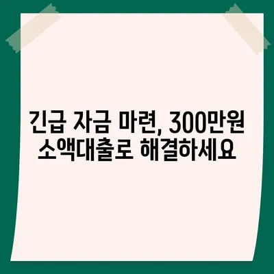 모바일 소액대출 300만원 즉시 승인 가능한 곳 | 쉬운 신청, 빠른 입금, 저금리 비교