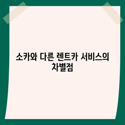 대구시 군위군 효령면 렌트카 가격비교 | 리스 | 장기대여 | 1일비용 | 비용 | 소카 | 중고 | 신차 | 1박2일 2024후기