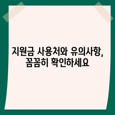 대전시 동구 자양동 민생회복지원금 | 신청 | 신청방법 | 대상 | 지급일 | 사용처 | 전국민 | 이재명 | 2024