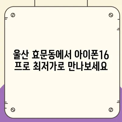 울산시 북구 효문동 아이폰16 프로 사전예약 | 출시일 | 가격 | PRO | SE1 | 디자인 | 프로맥스 | 색상 | 미니 | 개통