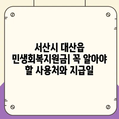 충청남도 서산시 대산읍 민생회복지원금 | 신청 | 신청방법 | 대상 | 지급일 | 사용처 | 전국민 | 이재명 | 2024