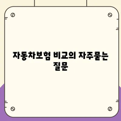 자동차보험 비교