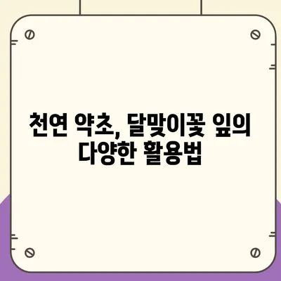 달맞이꽃 잎의 놀라운 효능 7가지 | 건강, 피부, 항염증, 달맞이꽃, 약초, 천연