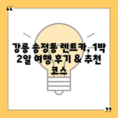 강원도 강릉시 송정동 렌트카 가격비교 | 리스 | 장기대여 | 1일비용 | 비용 | 소카 | 중고 | 신차 | 1박2일 2024후기