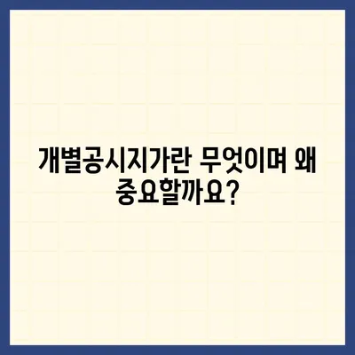 내 땅의 가치 확인! 개별공시지가 조회 방법 | 부동산, 토지, 시세, 조회