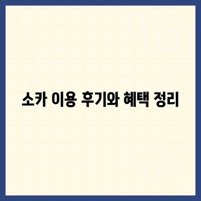 부산시 금정구 금성동 렌트카 가격비교 | 리스 | 장기대여 | 1일비용 | 비용 | 소카 | 중고 | 신차 | 1박2일 2024후기