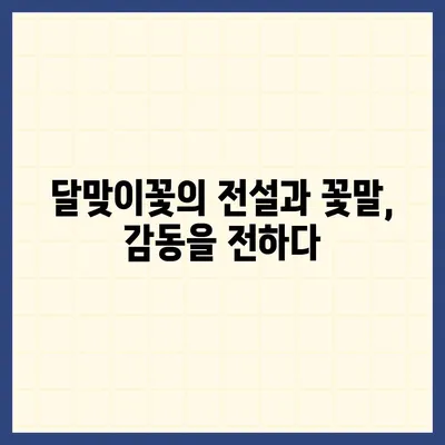 달맞이꽃의 매력, 밤하늘을 수놓는 아름다움과 효능 | 야생화, 꽃말, 전설, 약효, 재배