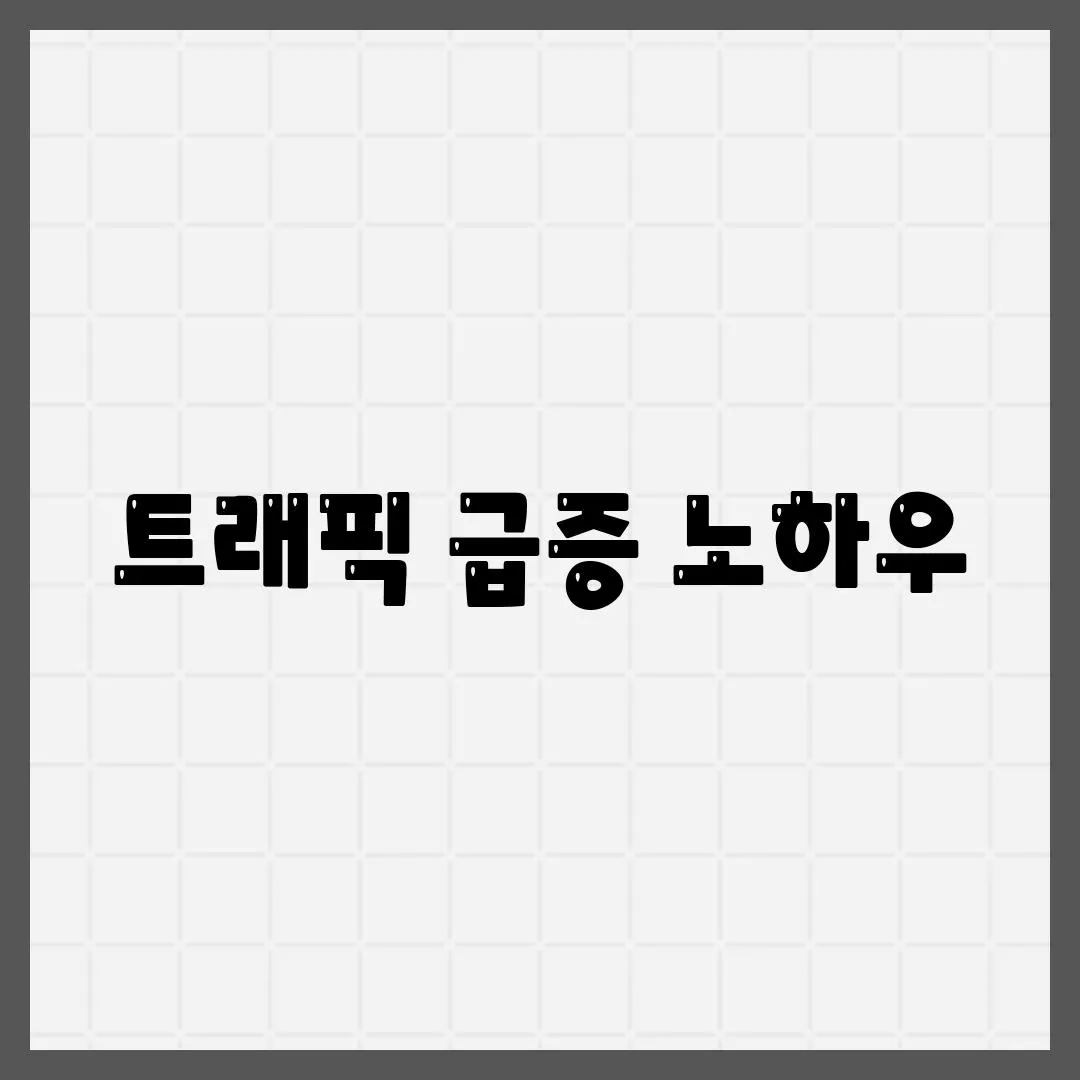 트래픽 급증 노하우