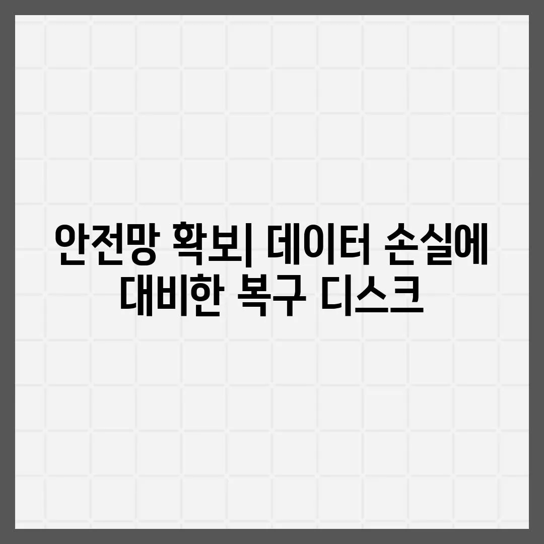 안전망 확보| 데이터 손실에 대비한 복구 디스크