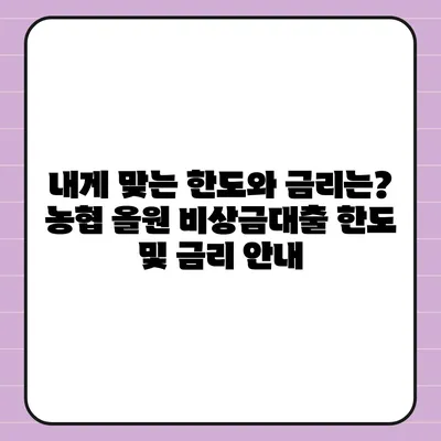 농협 올원 비상금대출, 급할 때 바로 받는 방법 | 비상금, 대출, 금리, 신청