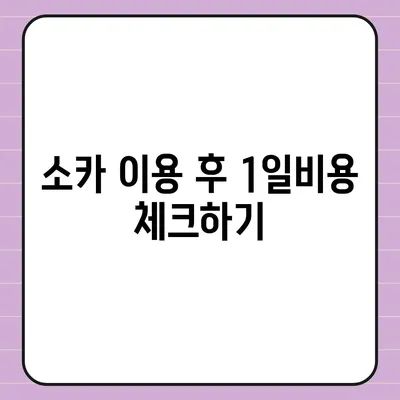 경기도 김포시 감정동 렌트카 가격비교 | 리스 | 장기대여 | 1일비용 | 비용 | 소카 | 중고 | 신차 | 1박2일 2024후기