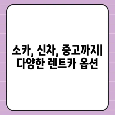 부산시 남구 용호3동 렌트카 가격비교 | 리스 | 장기대여 | 1일비용 | 비용 | 소카 | 중고 | 신차 | 1박2일 2024후기