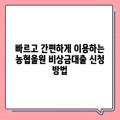 농협올원 비상금대출, 급할 때 빠르게 이용하는 방법 | 비상금, 대출, 신청, 조건, 한도