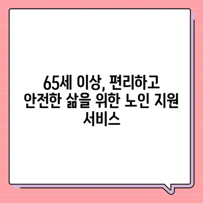 65세 이상이면 누리는 무료 혜택 총정리 | 노인 복지, 정부 지원, 건강 검진, 할인 혜택