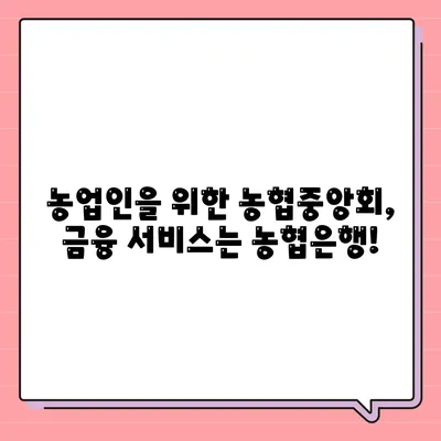 NH 농협중앙회 농협은행 다른점