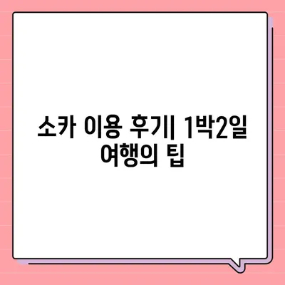 충청남도 공주시 의당면 렌트카 가격비교 | 리스 | 장기대여 | 1일비용 | 비용 | 소카 | 중고 | 신차 | 1박2일 2024후기