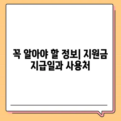 광주시 동구 지원2동 민생회복지원금 | 신청 | 신청방법 | 대상 | 지급일 | 사용처 | 전국민 | 이재명 | 2024