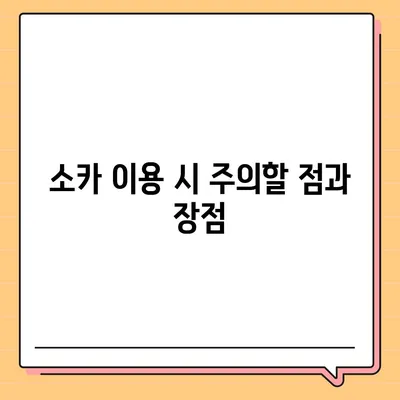 서울시 동대문구 제기동 렌트카 가격비교 | 리스 | 장기대여 | 1일비용 | 비용 | 소카 | 중고 | 신차 | 1박2일 2024후기