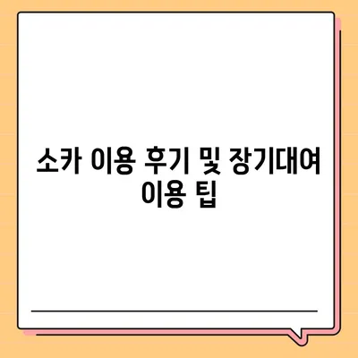 서울시 성북구 길음1동 렌트카 가격비교 | 리스 | 장기대여 | 1일비용 | 비용 | 소카 | 중고 | 신차 | 1박2일 2024후기