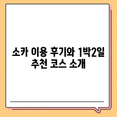 부산시 동구 범일2동 렌트카 가격비교 | 리스 | 장기대여 | 1일비용 | 비용 | 소카 | 중고 | 신차 | 1박2일 2024후기