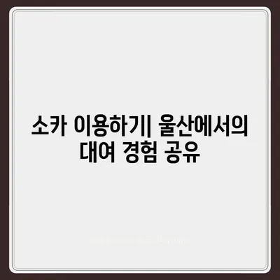 울산시 중구 우정동 렌트카 가격비교 | 리스 | 장기대여 | 1일비용 | 비용 | 소카 | 중고 | 신차 | 1박2일 2024후기