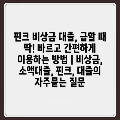 핀크 비상금 대출, 급할 때 딱! 빠르고 간편하게 이용하는 방법 | 비상금, 소액대출, 핀크, 대출