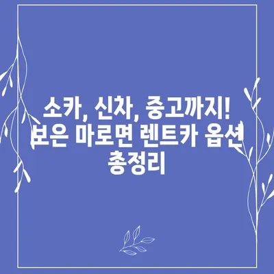 충청북도 보은군 마로면 렌트카 가격비교 | 리스 | 장기대여 | 1일비용 | 비용 | 소카 | 중고 | 신차 | 1박2일 2024후기