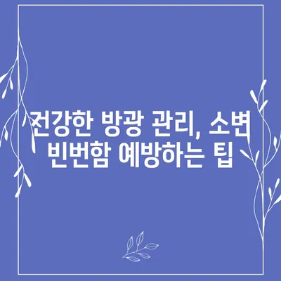 소변이 자주 마려운 이유| 원인과 해결책 | 빈뇨, 야뇨증, 방광염, 건강 팁