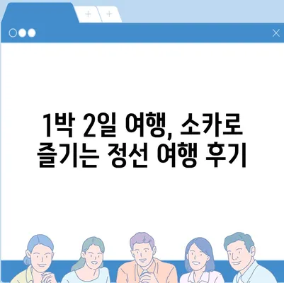 강원도 정선군 신동읍 렌트카 가격비교 | 리스 | 장기대여 | 1일비용 | 비용 | 소카 | 중고 | 신차 | 1박2일 2024후기