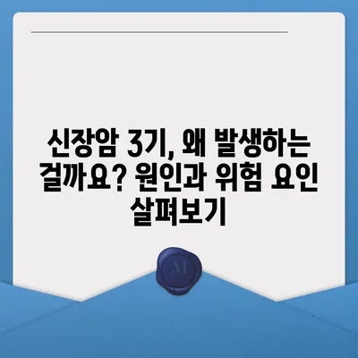 신장암 3기, 생존율과 증상, 원인까지 정확히 알아보세요 | 신장암, 3기, 생존율, 증상, 원인, 진단, 치료