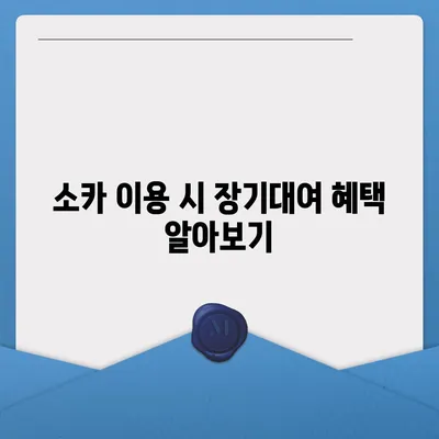 충청남도 홍성군 광천읍 렌트카 가격비교 | 리스 | 장기대여 | 1일비용 | 비용 | 소카 | 중고 | 신차 | 1박2일 2024후기