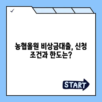 농협올원 비상금대출, 급할 때 빠르게 이용하는 방법 | 비상금, 대출, 신청, 조건, 한도