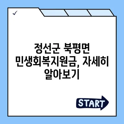 강원도 정선군 북평면 민생회복지원금 | 신청 | 신청방법 | 대상 | 지급일 | 사용처 | 전국민 | 이재명 | 2024