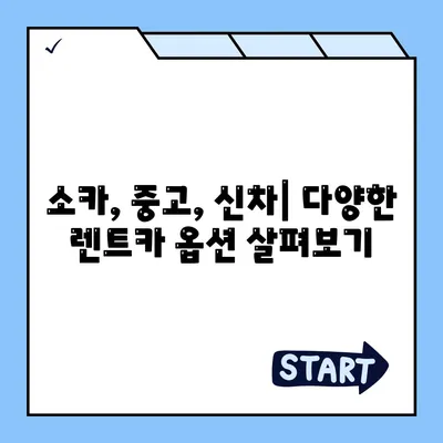 충청남도 홍성군 금마면 렌트카 가격비교 | 리스 | 장기대여 | 1일비용 | 비용 | 소카 | 중고 | 신차 | 1박2일 2024후기