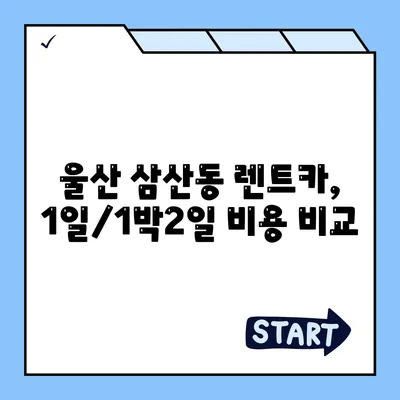 울산시 남구 삼산동 렌트카 가격비교 | 리스 | 장기대여 | 1일비용 | 비용 | 소카 | 중고 | 신차 | 1박2일 2024후기