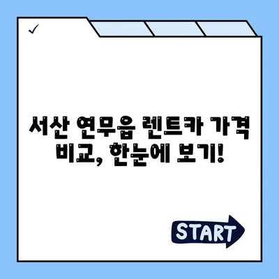 충청남도 서산시 연무읍 렌트카 가격비교 | 리스 | 장기대여 | 1일비용 | 비용 | 소카 | 중고 | 신차 | 1박2일 2024후기