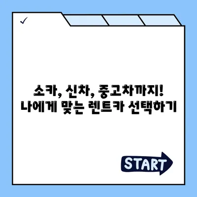 세종시 세종특별자치시 조치원읍 렌트카 가격비교 | 리스 | 장기대여 | 1일비용 | 비용 | 소카 | 중고 | 신차 | 1박2일 2024후기