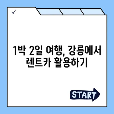 강원도 강릉시 송정동 렌트카 가격비교 | 리스 | 장기대여 | 1일비용 | 비용 | 소카 | 중고 | 신차 | 1박2일 2024후기