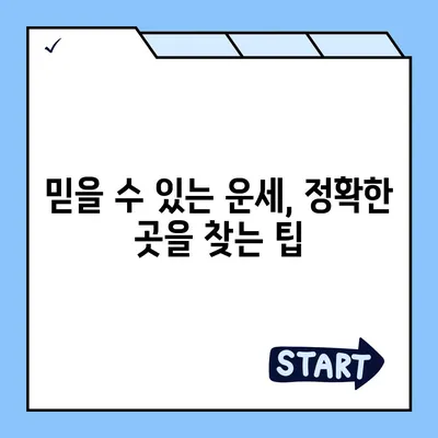 2021년 나의 운세, 제대로 알아보고 싶다면? | 운세 잘 맞는 곳 추천, 2021 운세, 신년운세, 사주, 타로