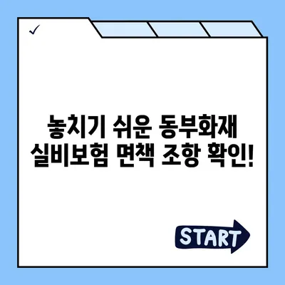 동부화재 실비보험 가입 전 꼭 확인해야 할 5가지 | 보장 범위, 면책 조항, 특징 비교, 추천 팁