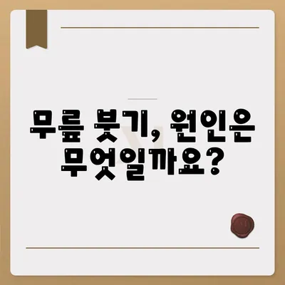 무릎 관절염증 증상