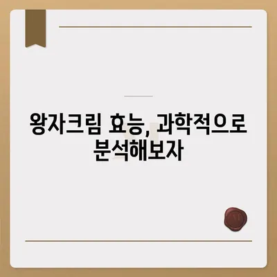 왕자크림 효과, 진짜 효과 있을까? | 왕자크림, 피부 개선, 사용 후기, 효능, 주의사항